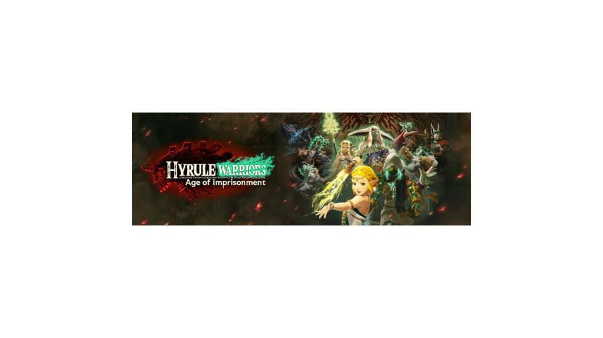 buy hyrule-warriors-age-of-imprisonment-switch-2