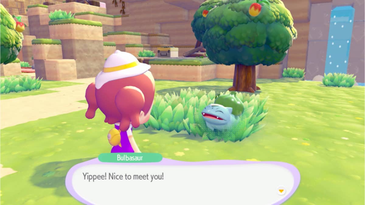 شتر pokemon-pokopia-nintendo-switch-2-game-key-card