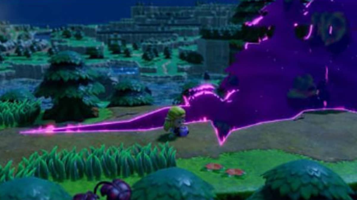 شتر nintendo-switch-the-legend-of-zelda-echoes-of-wisdom-video-game-cd