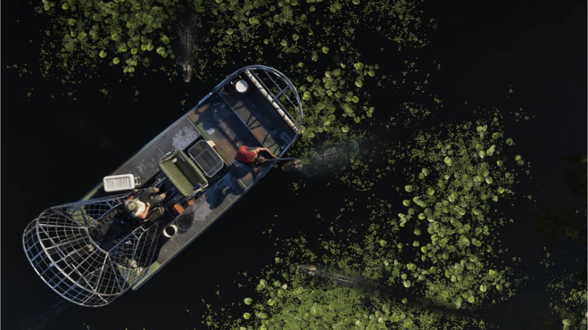 شتر grand-theft-auto-vi-playstation-5-game