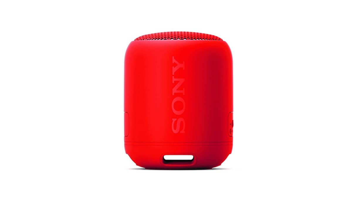 buy sony-srs-xb12-portable-speaker