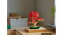 شتر japanese-red-maple-bonsai-tree