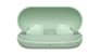 شتر sony-wf-c700-truly-wireless-headphones-sage-green