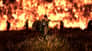شتر forspoken-standard-edition-ps5-arabic-english