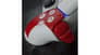 شتر playstation-dualsense-controller-god-of-war-20th-anniversary-limited-edition