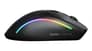 شتر glorious-model-d-2-wireless-gaming-mouse-black