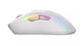 شتر glorious-model-d-2-wireless-gaming-mouse-white