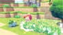 شتر pokemon-pokopia-nintendo-switch-2-game-key-card