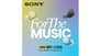 buy sony-wf-c510-truly-wireless-earbuds-22-hours-battery-life-yellow